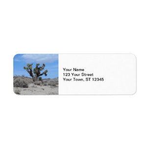 Arbre de Joshua de désert de Mojave