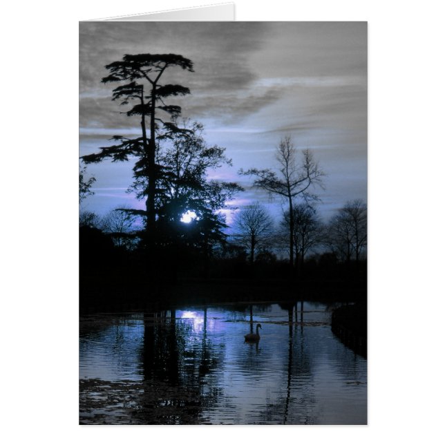 Arbre de la lune (Devant)