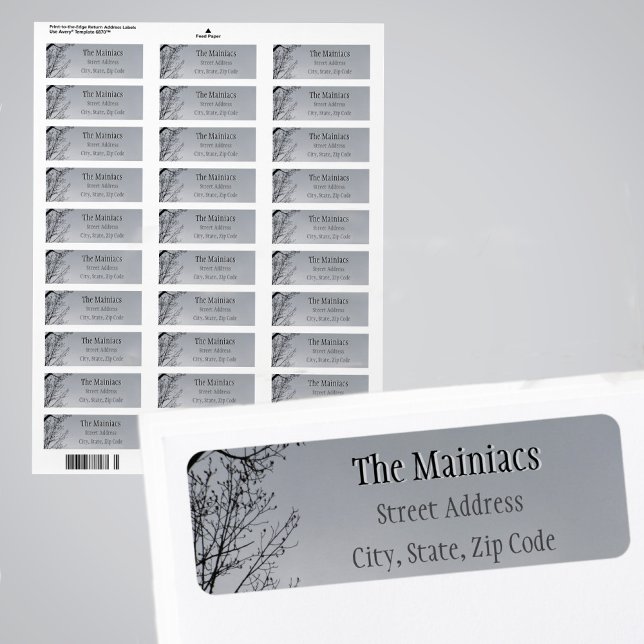 Arbre de Silhouette Noire Branches Grises Adresse  (Créateur téléchargé)