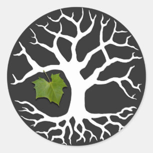 Arbre de vie avec Sticker à feuilles Sycamore