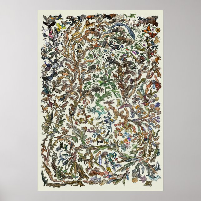 Arbre de vie - Poster de l'évolution - Couleur (Devant)