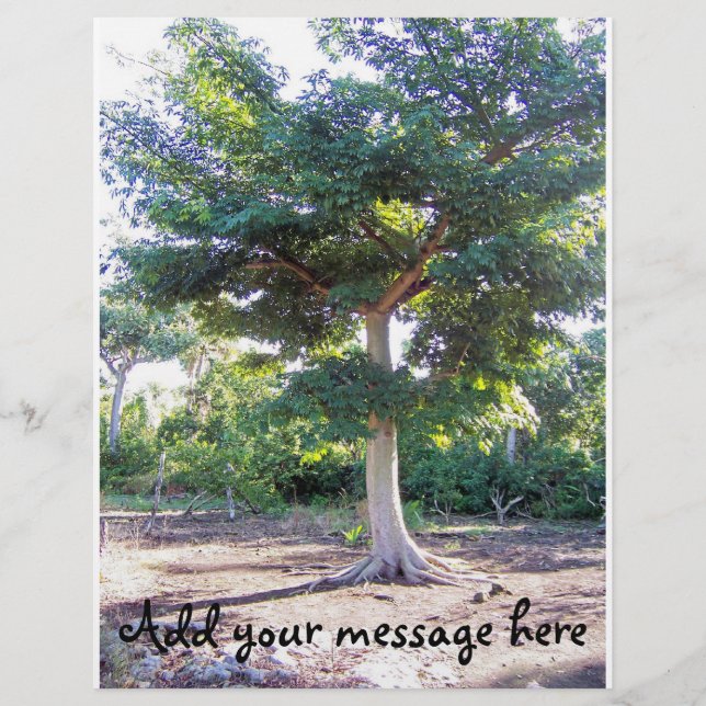 Arbre du prospectus de sagesse (Devant)