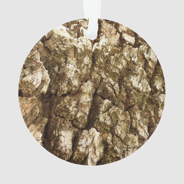 Arbre écorce II Conception texturée naturelle (dos)