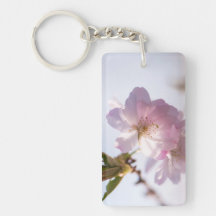 Arbre en fleurs du printemps