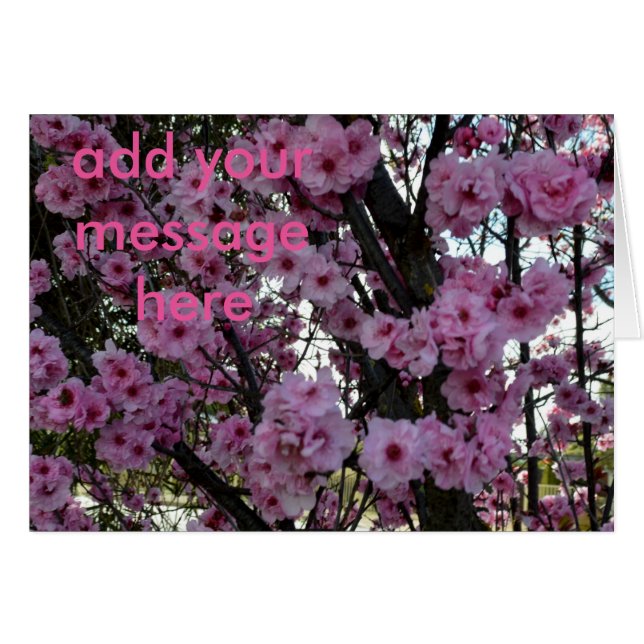 Arbre en fleurs rose, (Devant Horizontal)