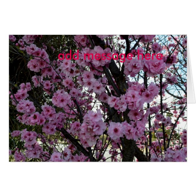 Arbre en fleurs rose, (Devant horizontal)