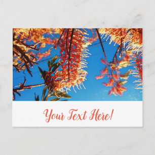 Arbre Fleurs Jaune Orange Ciel Carte Postale
