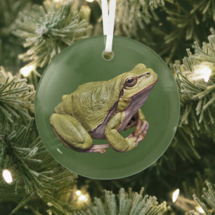 Arbre Frog Cute Zen Frog Ornement en verre