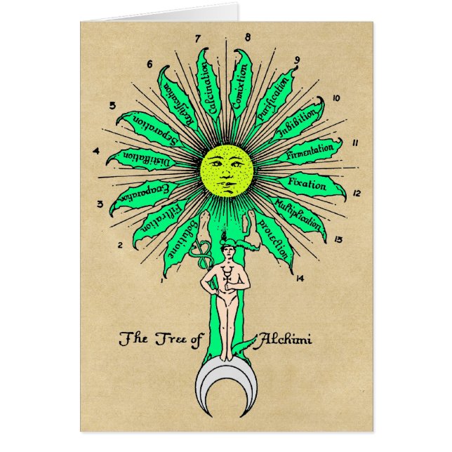 Arbre Hermès de la carte d'alchimie (Devant)