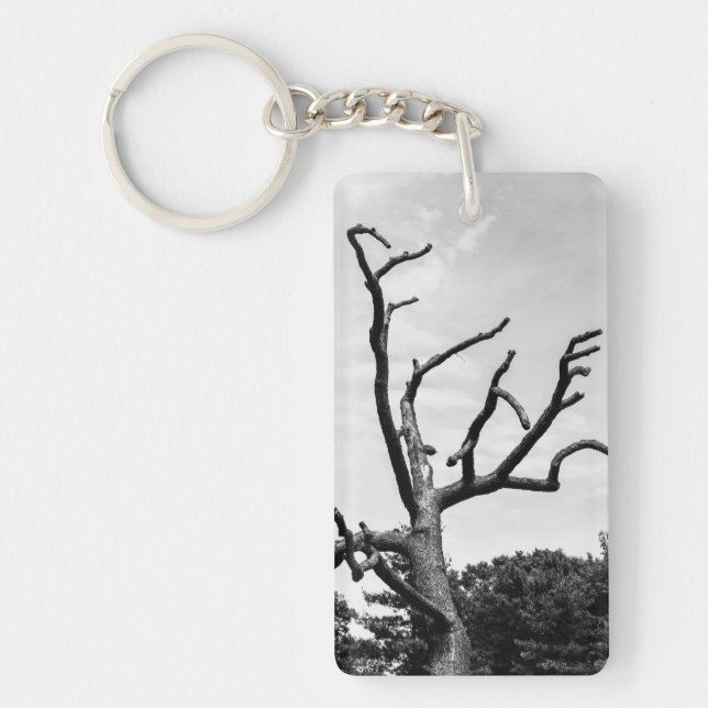 arbre libre (Devant)
