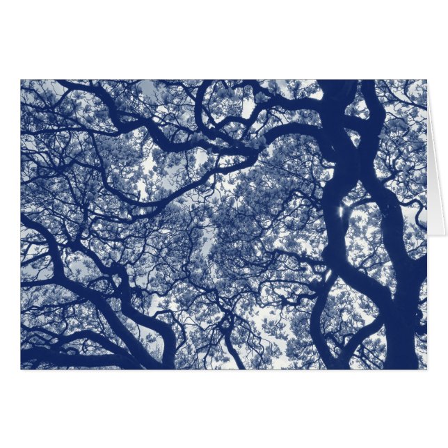 Arbre Magnolia - Effet Cyanotype (Devant horizontal)