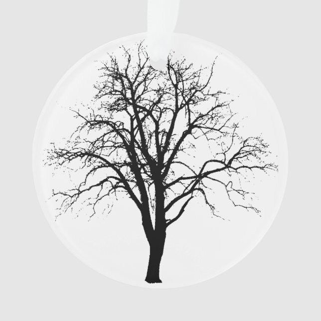 Arbre sans feuilles en silhouette d'hiver (devant)