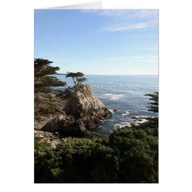 Arbre solitaire (Devant)