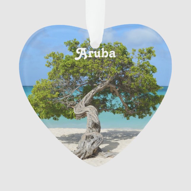 Arbre solo de Divi Divi dans Aruba (devant)