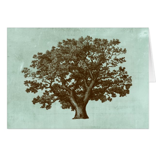 Arbre spa IV (Devant horizontal)