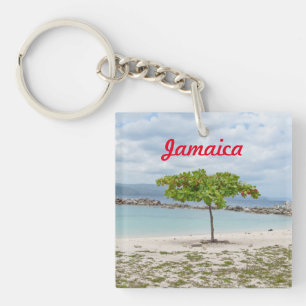 ARBRE SUR LA PLAGE EN JAMAÏQUE PORTE - CLÉ