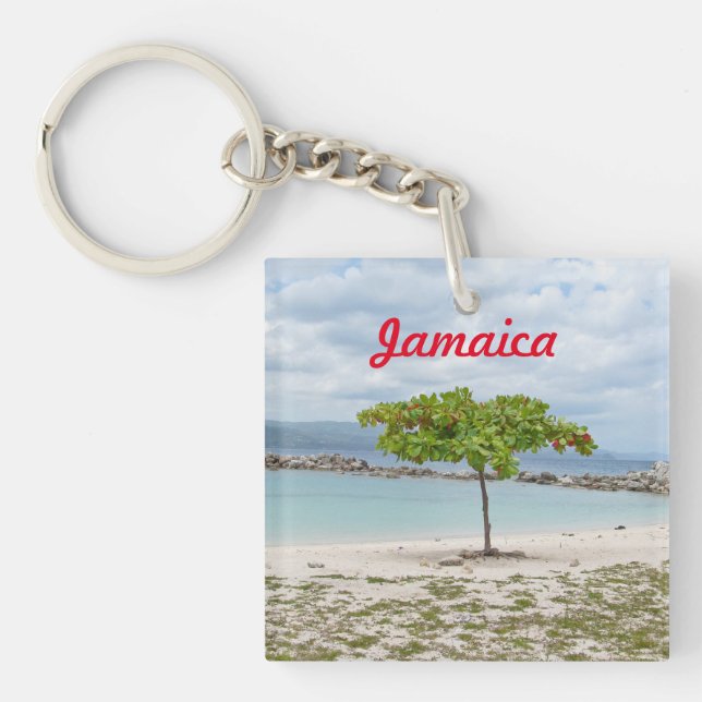 ARBRE SUR LA PLAGE EN JAMAÏQUE PORTE - CLÉ (Devant)