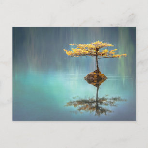 ARBRE SUR UNE CARTE POSTALE