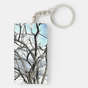 ARBRES