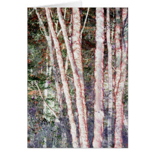 Arbres à bords rouges