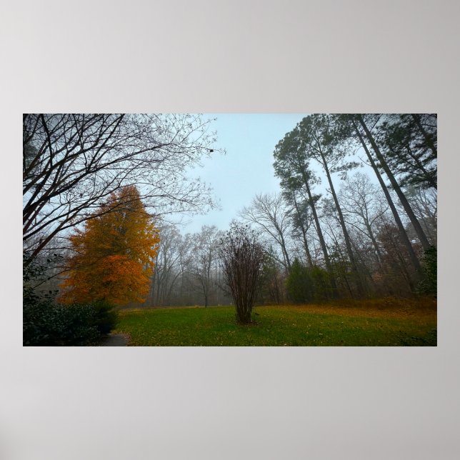 Arbres & Brouillard, Affiche (Devant)