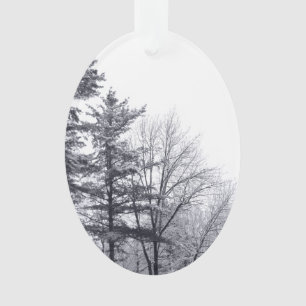 Arbres couverts de neige : Vertical