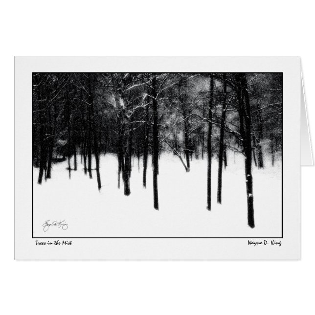 Arbres dans la brume (Devant horizontal)