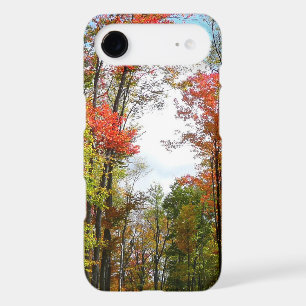 Arbres d'automne et photographie de la nature en a