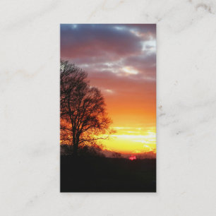 Arbres de coucher du soleil dans des cartes de