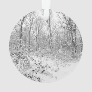 Arbres de Milou dans le Poconos