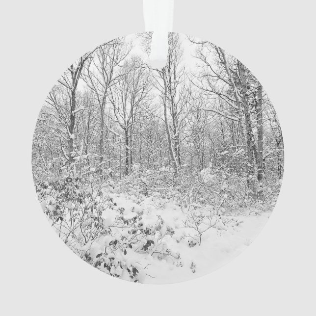 Arbres de Milou dans le Poconos (dos)