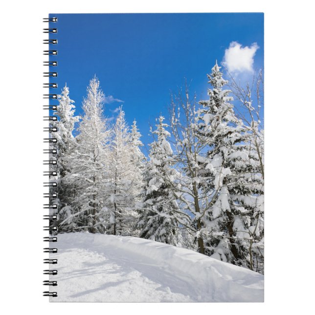 Arbres de neige sous un carnet clair de ciel bleu (Devant)