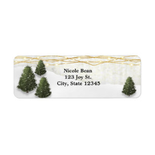 Arbres de pin rustiques mariage d'hiver décembre f