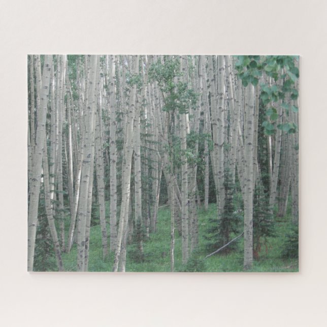 Arbres d'été - 16x20 - 520 pcs Jigsaw Puzzle (Horizontal)