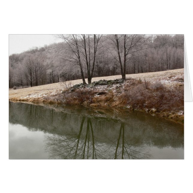 Arbres d'hiver reflétés (Devant horizontal)