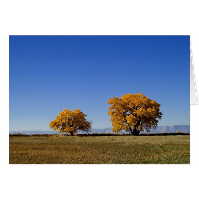 Arbres d'or (Devant Horizontal)