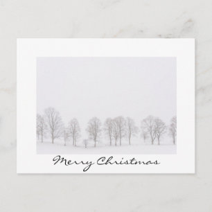 Arbres en hiver dans un monde blanc carte de noël