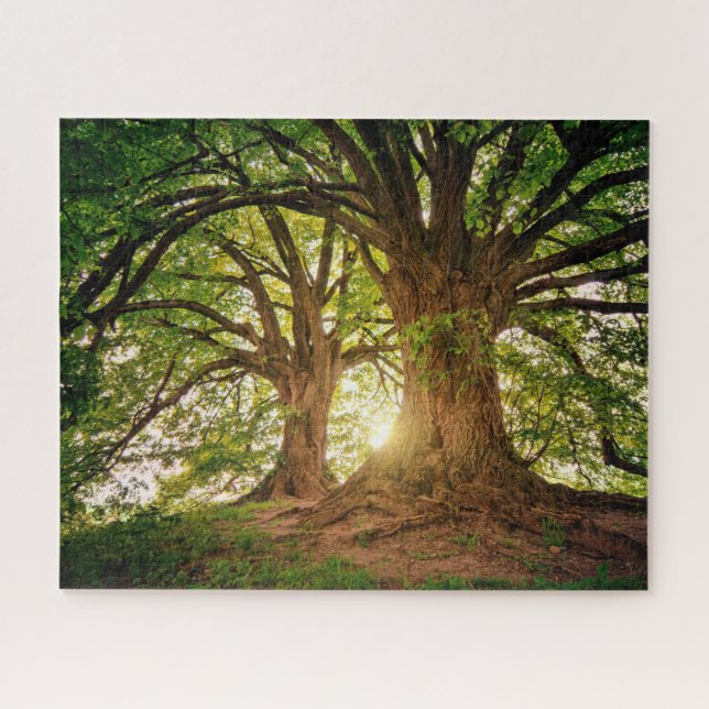 Arbres Majestueux Puzzle (Horizontal)
