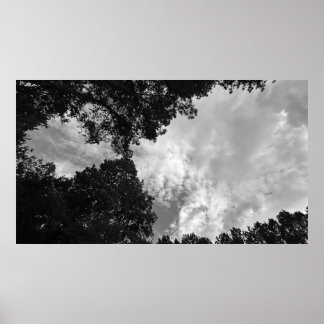 Arbres & Nuages, Affiche