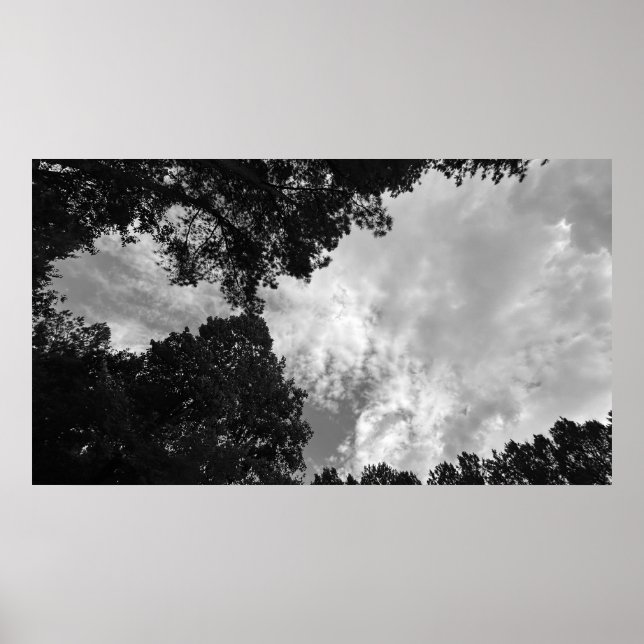 Arbres & Nuages, Affiche (Devant)