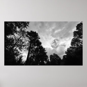 Arbres & Nuages, Affiche