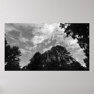 Arbres & Nuages, Affiche