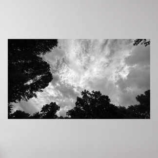Arbres & Nuages, Affiche