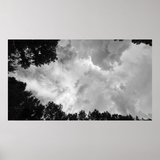 Arbres & Nuages, Affiche