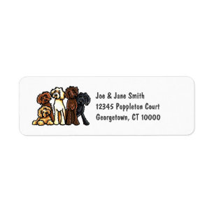 Arc-en-ciel de Labradoodle