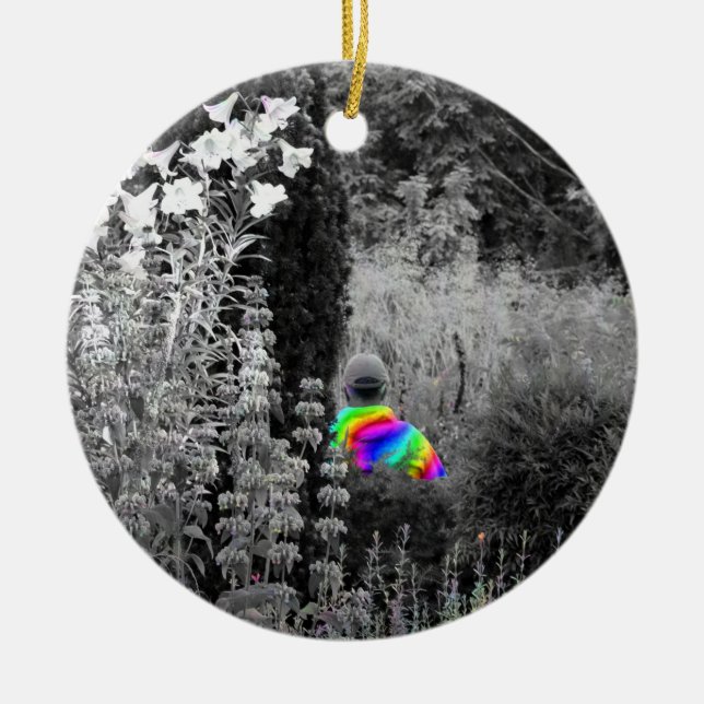 Arc en ciel Jardin Visiteur Ornement de Noël (Devant)