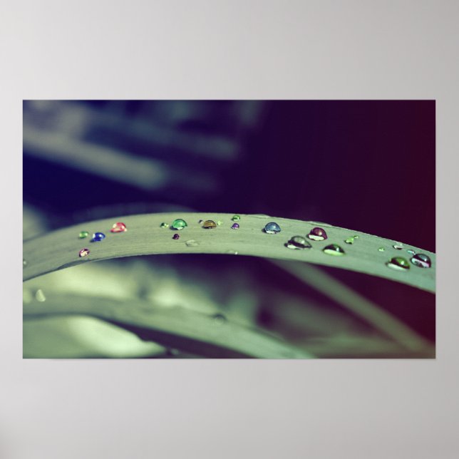 Arc-en-ciel Poster / Impression encadrée (Devant)