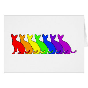 Arc-en-ciel Rex cornouaillais
