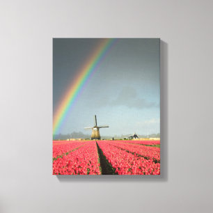 Arc-en-ciel, tulipes et moulin à vent impression e