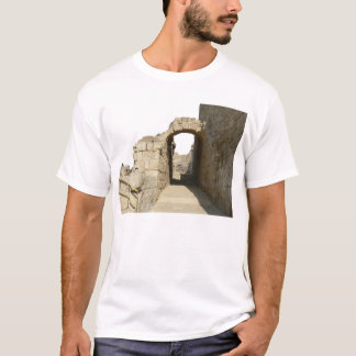Arc of Ancient Caesarea T-Shirt